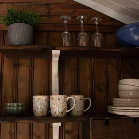 Cosy Cabin Without Running Water And Electricity *