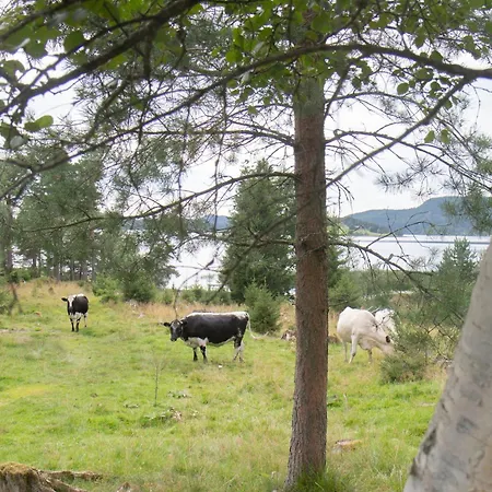 Cosy Cabin Without Running Water And Electricity