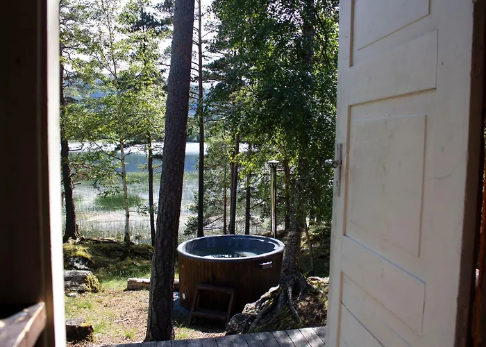 Cosy Cabin Without Running Water And Electricity