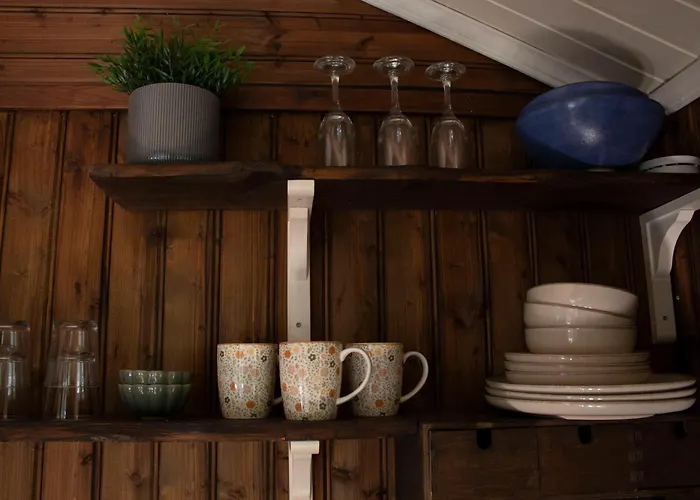 Cosy Cabin Without Running Water And Electricity *