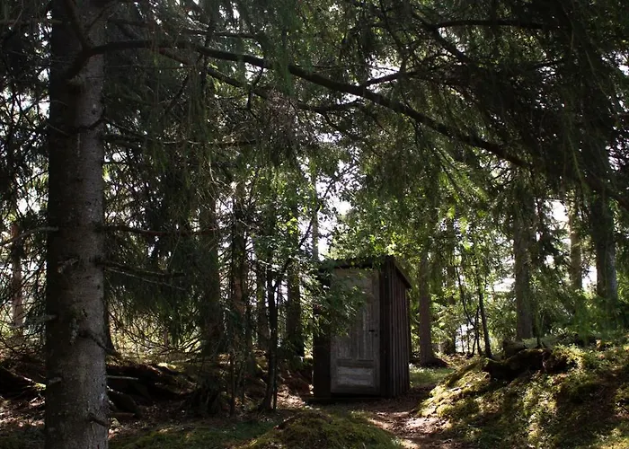 Cosy Cabin Without Running Water And Electricity * Levanger